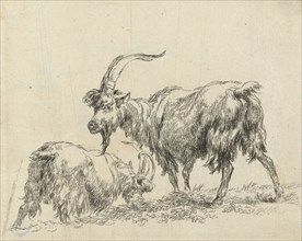 Two goats or goats, Nicolaes Pietersz. Berchem, 1648 - 1652