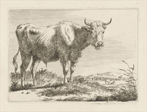 Standing bull, Pieter Gerardus van Os, 1798