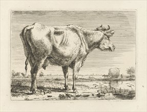 Standing cow, Pieter Gerardus van Os, 1798