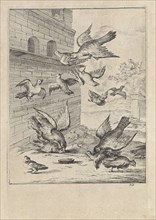 Fable of the doves and the hawks, Dirk Stoop, John Ogilby, 1665