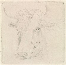 Ox head, Peter Janson, 1780-1851