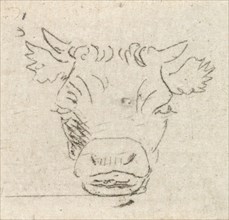 Calf's head, from the front, Pieter Janson, 1780 - 1851