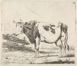 Cow at fence, Pieter Janson, 1780 - 1851