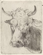 Ox head, left, Pieter Janson, 1780-1851