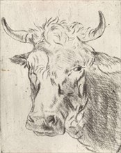 Ox head, left, Pieter Janson, 1780 - 1851