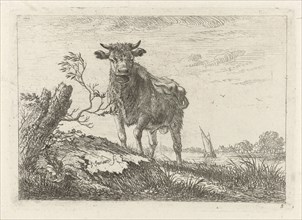 Taurus on the riverbank, Johannes Janson, 1761-1784
