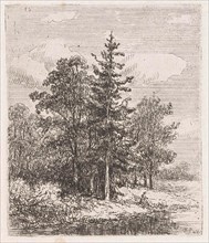 Fishing for a group of trees, Johannes Pieter van Wisselingh, 1830 - 1878