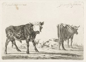 Blindfolded bull to herd cattle, Jacobus Cornelis Gaal, 1852