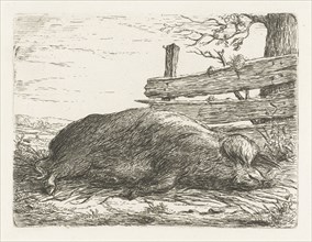 Lying boar, Jacobus Cornelis Gaal, Pieter Gaal, 1850