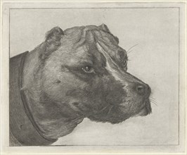 Dogs head with collar, Jacobus Cornelis Gaal, Pieter Gaal, 1852