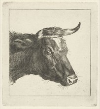 Head of a cow with rope to the horns, print maker: Jacobus Cornelis Gaal, Pieter Gaal, 1854