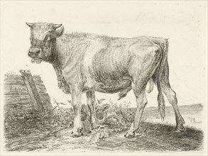Taurus, Johannes Mock, 1824