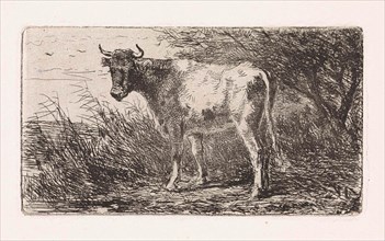 Cow on the bank of a river, Jan Vrolijk, 1860-1894