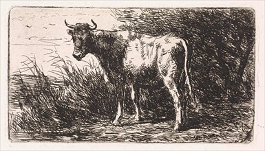 Cow on the bank of a river, Jan Vrolijk, 1860 - 1894