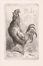 Crowing cock, print maker: Jan Gerard Smits, 1872