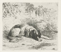 Reclining dog in front of a wall, Christiaan Wilhelmus Moorrees, 1811-1867
