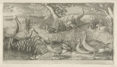 Waterfowl in a pond, Jan van Londerseel, 1580 - 1625