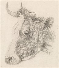 Head of a bull, Dirk van Oosterhoudt, c. 1766 - c. 1830