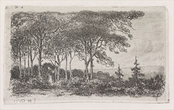 A wooded landscape with the left in the foreground a woman with a basket on her back, print maker: