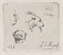 Mans Head, goat and owl, Jan Evert Morel (II), 1856