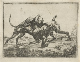Fighting dogs, Pauwels van Hillegaert, 1606-1658