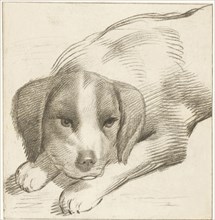 Lying dog, Cornelis van Noorde, Cornelis Visscher (II), 1777