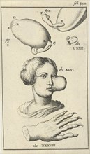 Anatomical image XI, Jan Luyken, Jan Claesz ten Hoorn, 1680 - 1688