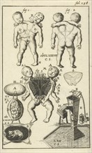 Anatomical figure VI, Jan Luyken, Jan Claesz ten Hoorn, 1680 - 1688