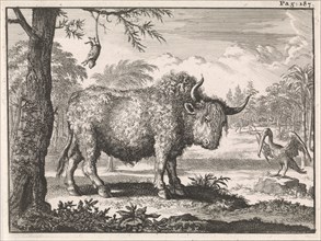 Bison, opposum and a pelican in an exotic landscape, Caspar Luyken, Willem Broedelet, 1697