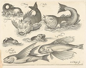 Fantastic invertebrates, including dolphin and dragonet, Nicolaes de Bruyn, 1581-1656