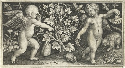 Two angels on either side of squash, pumpkin, or gourd, Nicolaes de Bruyn, 1594