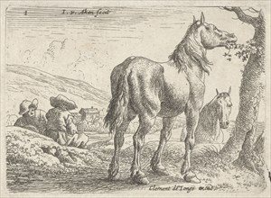 Eating horse, Jan van Aken, Clement de Jonghe, 1624 - 1661