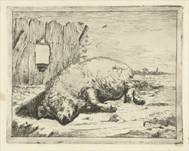 Lying pig, Marcus de Bye, Paulus Potter, 1657