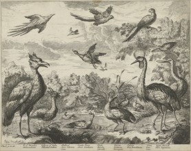 Several birds in a landscape, print maker: Jan Griffier I copy after, Francis Barlow, 1655 - 1718