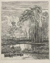 Poplars, Willem Roelofs (I), 1832 - 1897