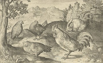 Three hens and two roosters, Nicolaes de Bruyn, 1594