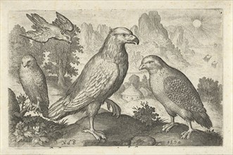 Eagle and other birds of prey, Nicolaes de Bruyn, 1594