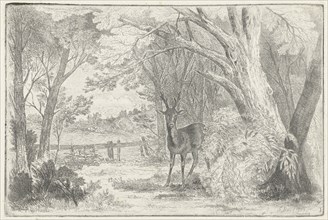 Park landscape with deer, Jan Bos Wz., 1890