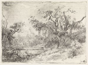 Landscape with half-dead tree, Julius Jacobus van de Sande Bakhuyzen, 1845-1925