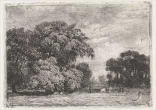 Landscape with three trees and grazing cows, Julius Jacobus van de Sande Bakhuyzen, 1845 - 1925