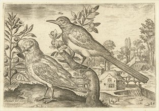 Two birds in a landscape, Adriaen Collaert, 1598 - 1602
