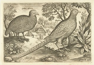 Two chickens in a landscape, Adriaen Collaert, 1598 - 1618