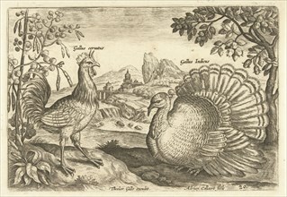 Two chickens in a landscape, Adriaen Collaert, 1598 - 1618
