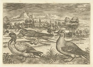 Some birds in a landscape, Adriaen Collaert, 1598-1618