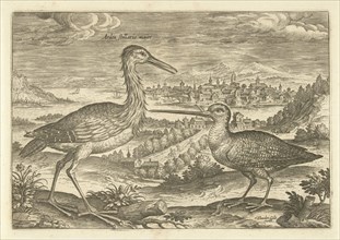 Two birds in a landscape, Adriaen Collaert, 1598-1618