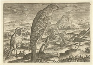 Some birds in a landscape, Adriaen Collaert, 1598 - 1618