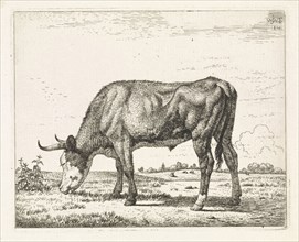 Grazing cow, Wouter Johannes van Troostwijk, 1810