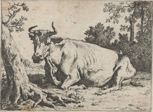 Lying cow near a tree, Paulus Potter, 1635 - 1654
