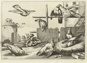 Pigeons in a dovecote, Pieter van Lisebetten, Wenceslaus Hollar, Francis Barlow, 1654 - 1678