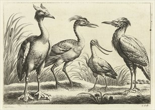 Four birds, Pieter van Lisebetten, Wenceslaus Hollar, Francis Barlow, 1654 - 1678
